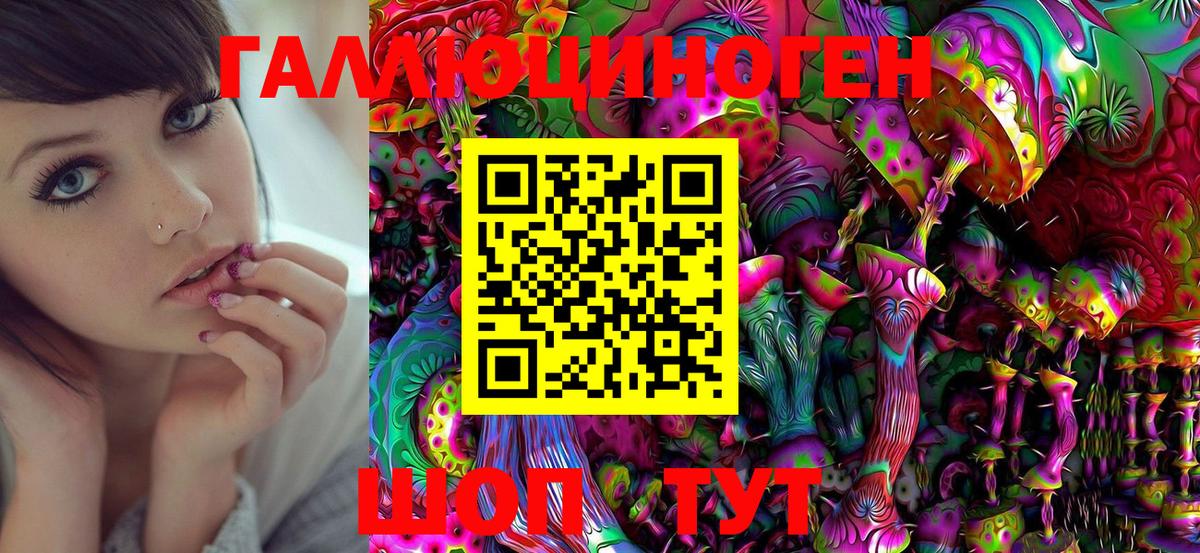 Псилоцибиновые грибы прущие грибы Ачхой-Мартан