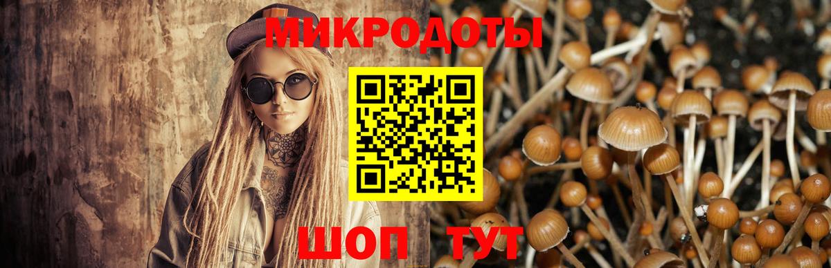 Галлюциногенные грибы MAGIC MUSHROOMS Ачхой-Мартан