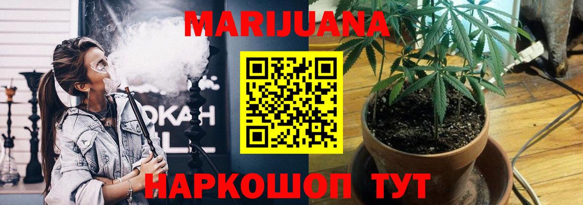 Шишки марихуана планчик  Вход с VPN  Шишки марихуана план  Шишки марихуана Ganja  Ачхой-Мартан  Бошки марихуана Bruce Banner 